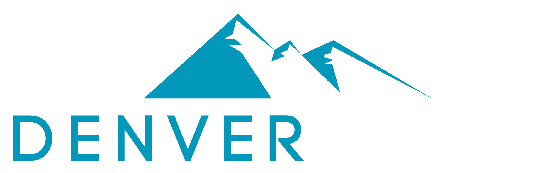 LogoWhiteBvfls